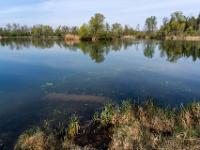 Ausblick über den Floriansee